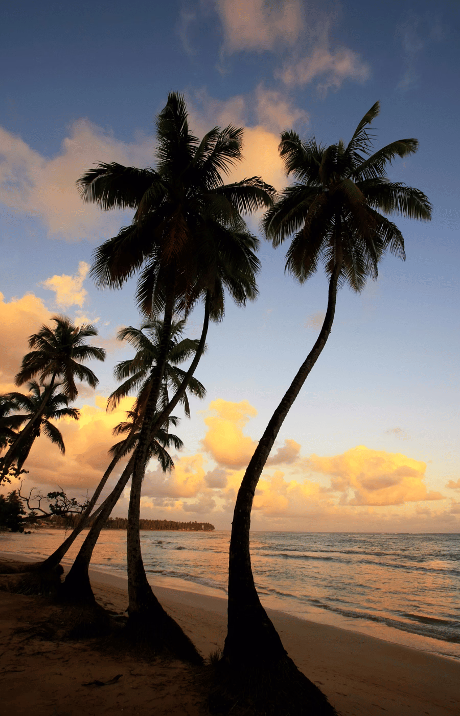Las Terrenas, Dominican Republic