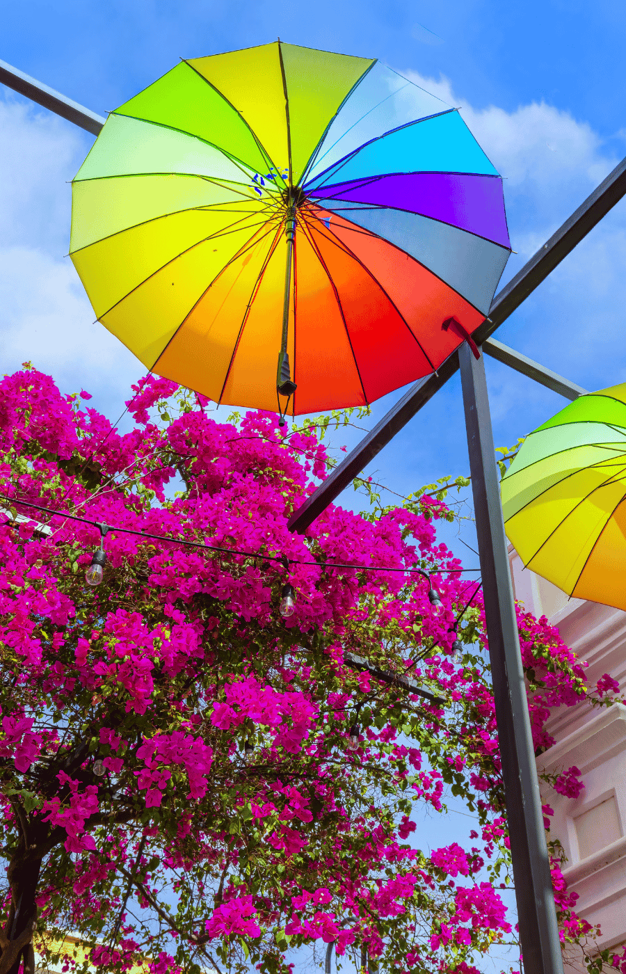 Puerto Plata, Dominican Republic