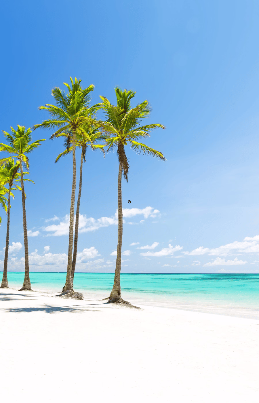 Punta Cana, Dominican Republic